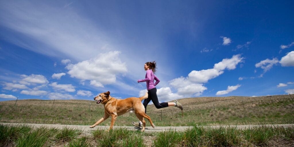 Best Running Dogs 20 Breeds for Serious Athletes RUN Powered by