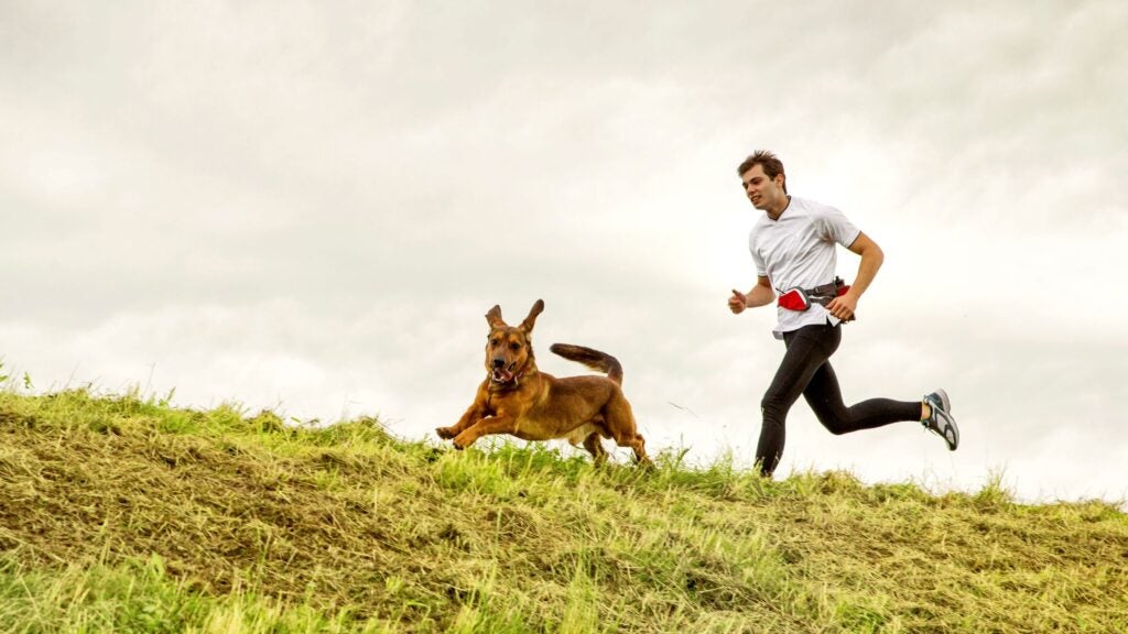 Why You Run A Cheat Sheet RUN Powered by Outside