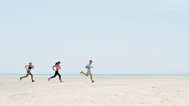 The Best Online Training Plans for Runners