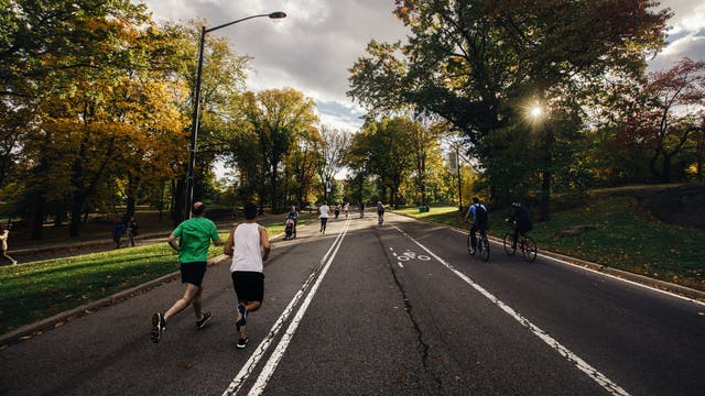 The Best Running Surface for Your Knees