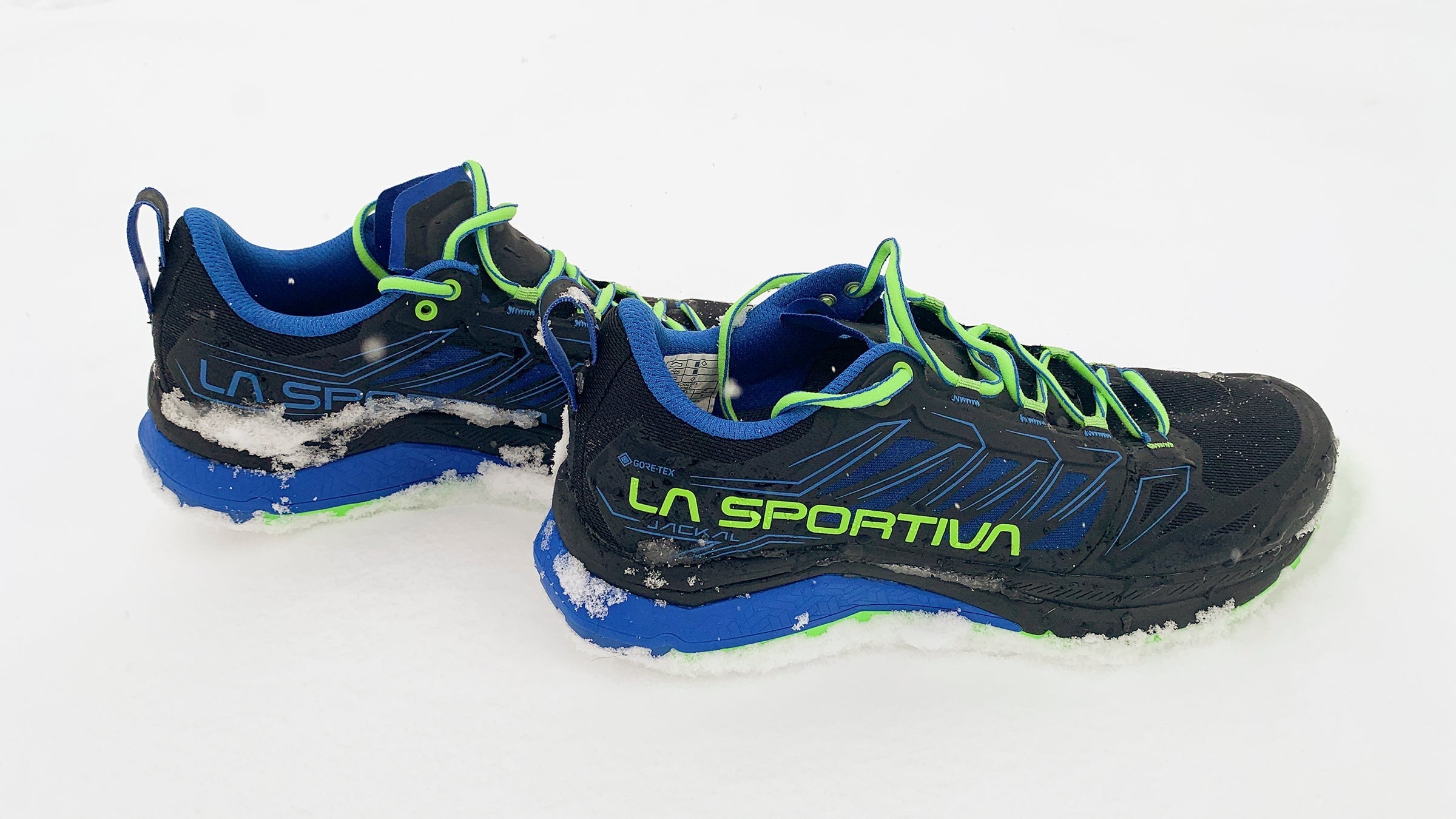 Shoe of the Week: La Sportiva Jackal GTX