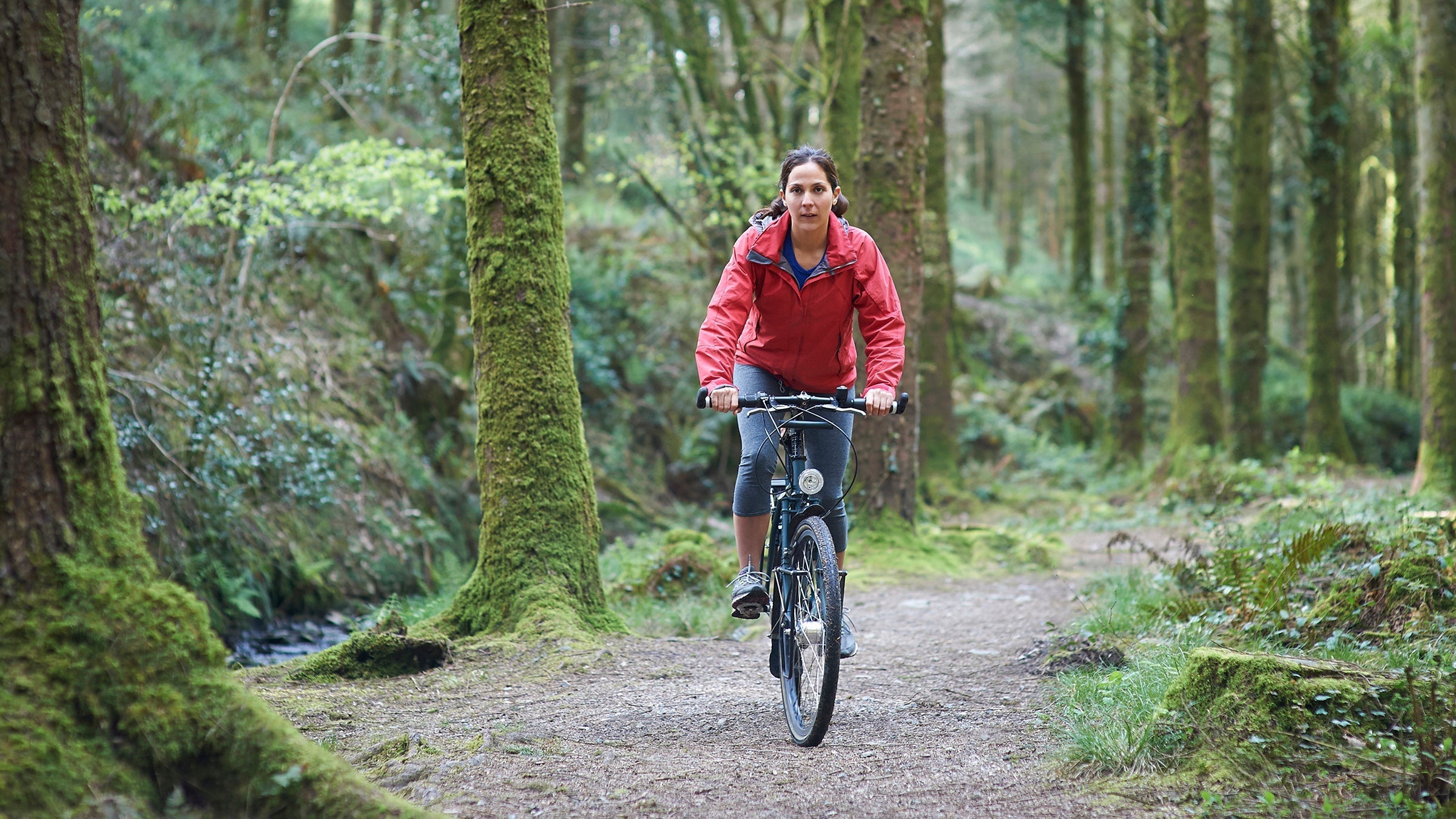 Bicycle forest cheap treadmill bike