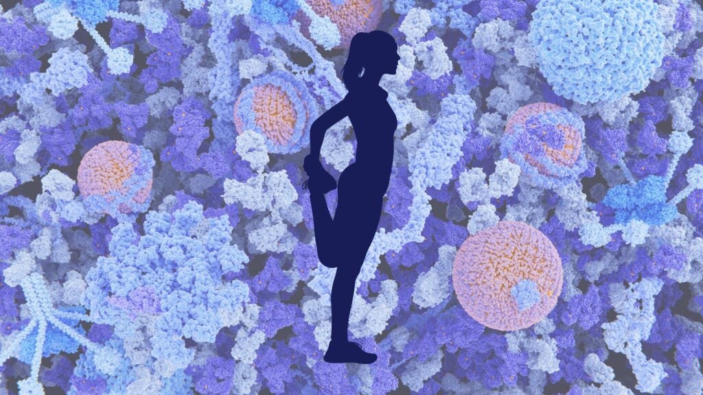 Female Runners Should Be Aware of Ferritin Levels – RUN