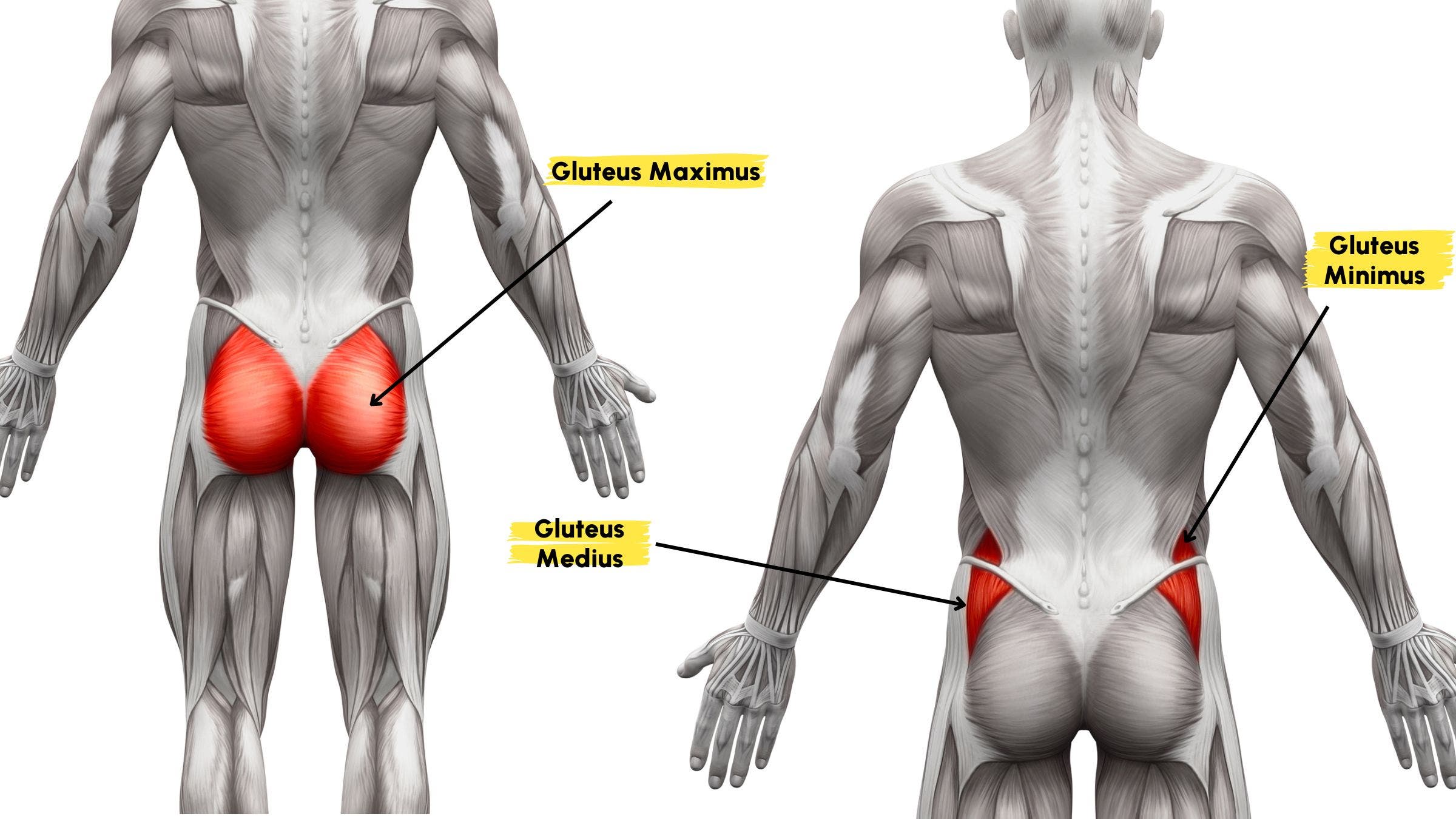 The glutes guide for runners
