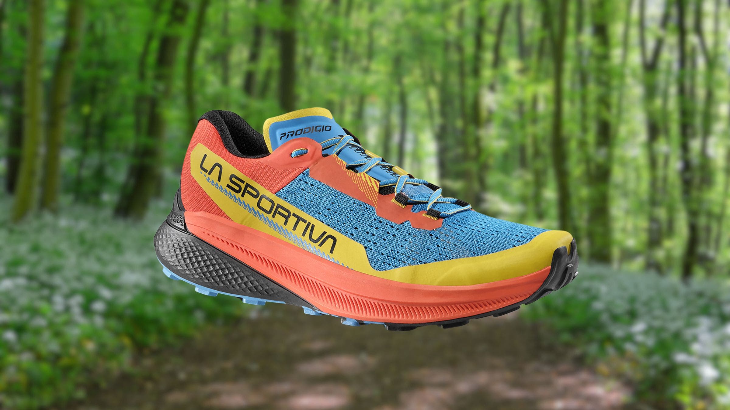 First Run: La Sportiva Prodigio display picture 1