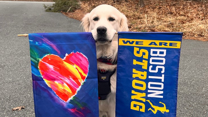 Everyone's Favorite Boston Marathon Dog Memorialized with Statue