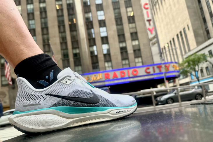 Nike Pegasus 41