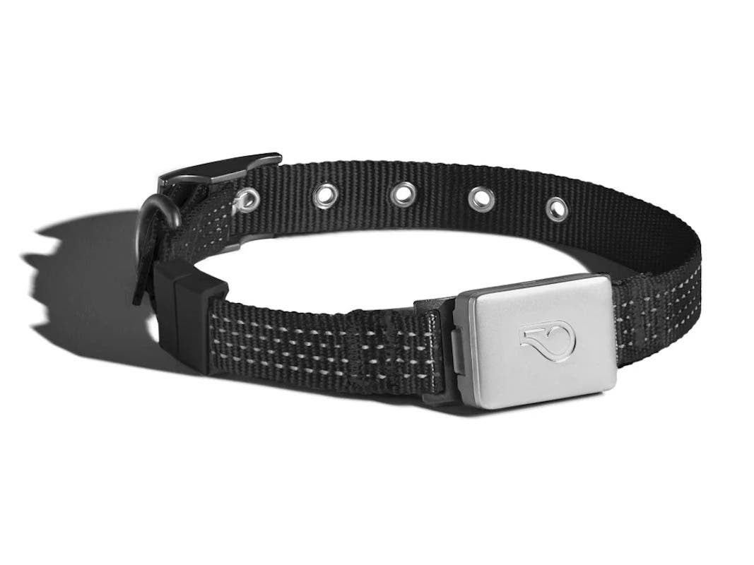 The Best GPS Collars For Active Dogs The Best GPS Collars For Active Dogs