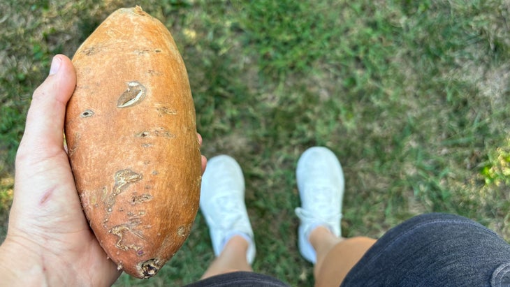 sweet potatoes after a long run.