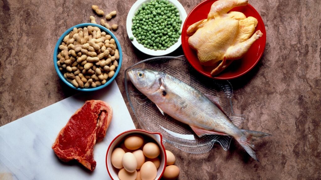 Protein for Runners An Expert Provides New Rules