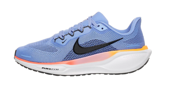 Nike Pegasus 41 winter running deals