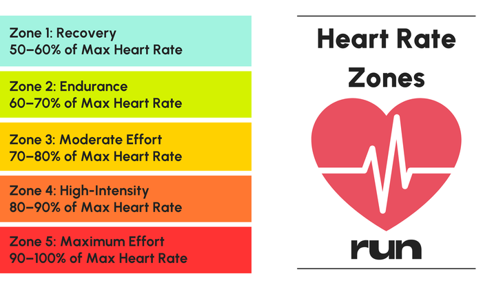 an explanation of heart rate zones 1-5. Zone 1: Recovery 50–60% of Max Heart Rate Very easy effort, like walking or light movement. Breathing is steady, and you feel relaxed. Ideal for warm-ups, cool-downs, or active recovery. Zone 2: Endurance (Aerobic Base Building) 60–70% of Max Heart Rate Comfortable, steady effort. You can easily hold a conversation. Great for improving endurance and fat burning. Zone 3: "Grey Zone" (Moderate Effort) 70–80% of Max Heart Rate Breathing becomes a bit heavier, and speaking is limited to short sentences. Still aerobic but burns more glycogen than fat. Often considered the "no man's land" of training if done excessively. Zone 4: Threshold (High-Intensity) 80–90% of Max Heart Rate Challenging effort. Breathing is labored, and talking is limited to one or two words. Builds speed, strength, and lactate threshold. Zone 5: Maximum Effort 90–100% of Max Heart Rate All-out effort. Breathing is very difficult, and talking is impossible. Typically used in short bursts like sprints or maximal intervals.