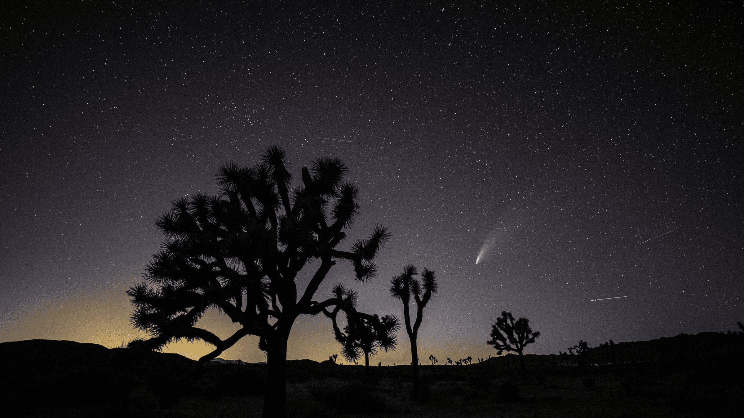 Comet NEOWISE, also known as 'C/2020 F3', is seen on July 19, 2020 in Joshua Tree, California. The comet is currently visible after sunset in the Northern Hemisphere and will have its closest encounter with Earth on July 23 when it will be around 64 million miles away.