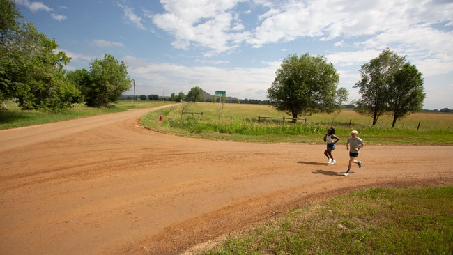 Half marathon, marathon, 5K, 10K. training plans