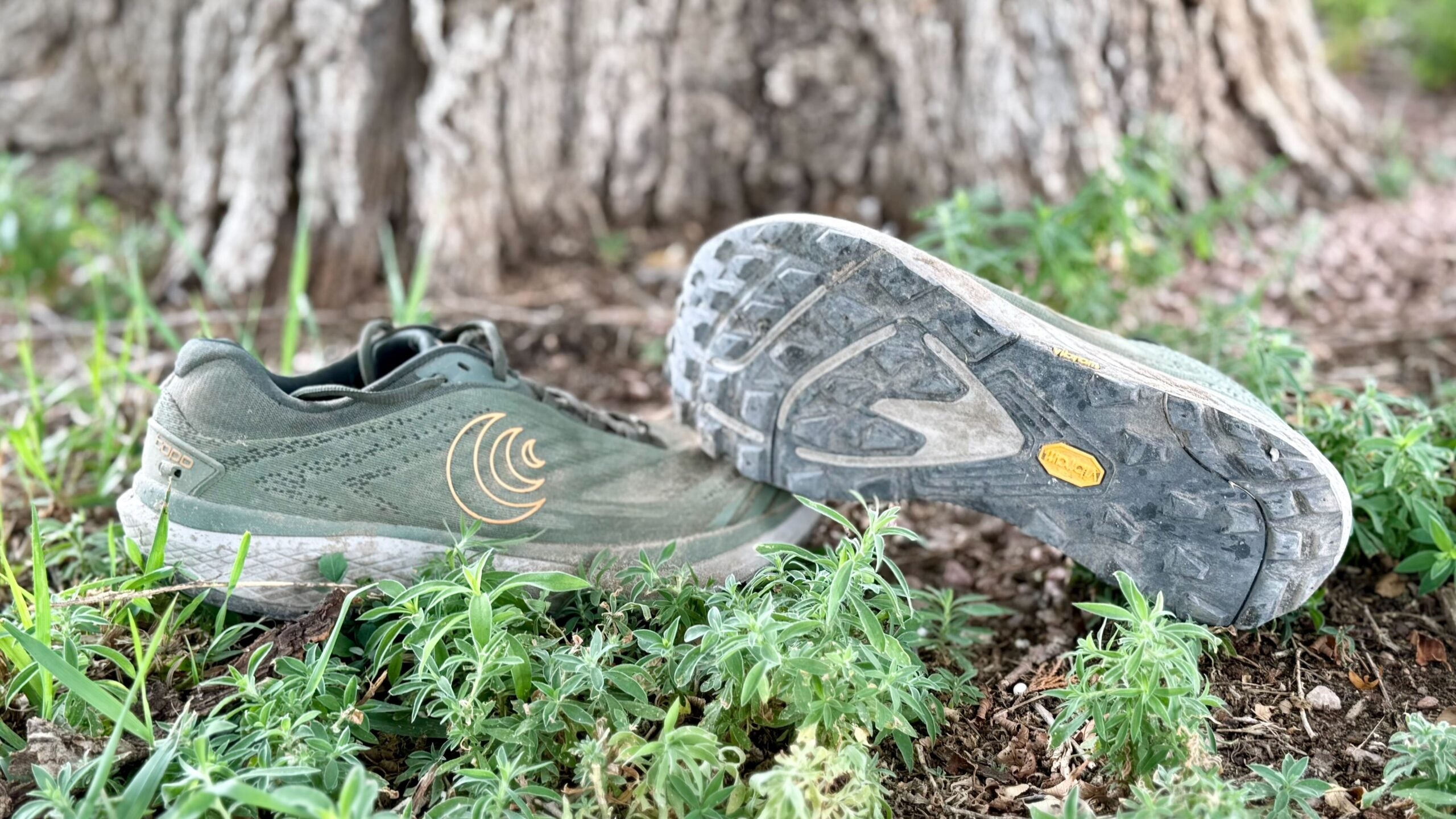 Topo Pursuit 2