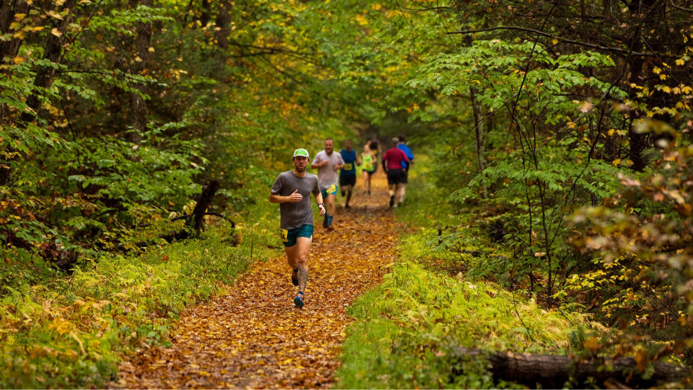 Several runners run in both directions on leaf-covered trail surrounded by lush forest.