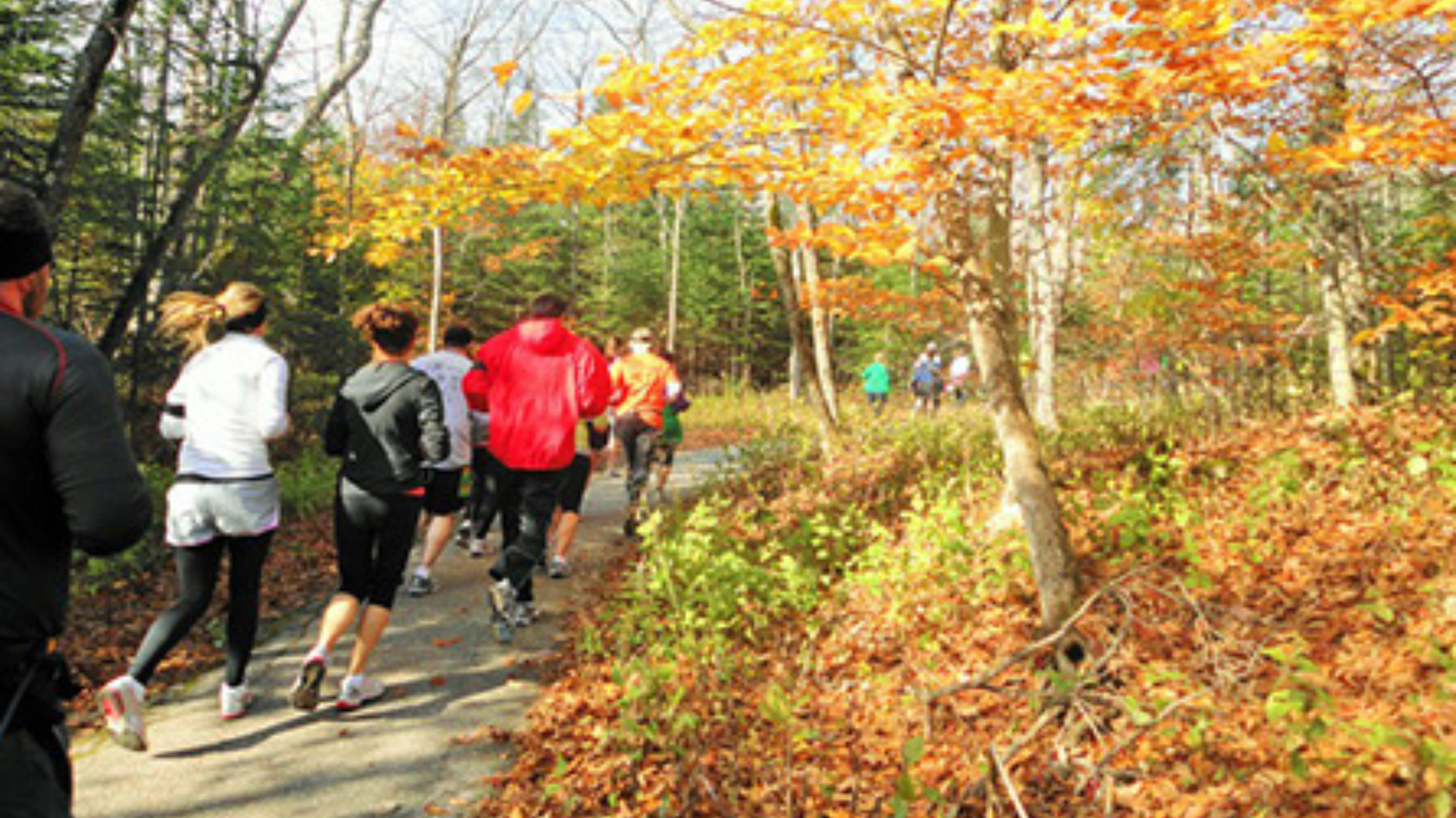 Multiple runners in fall running apparel run away from the camera on trail surrounded by trees displaying fall colors.