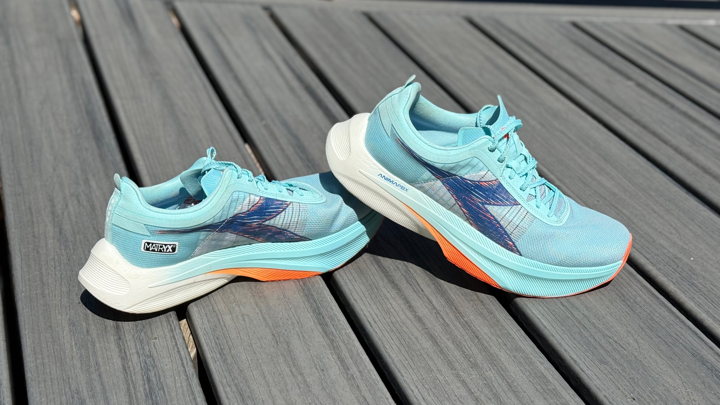 Diadora Gara Carbon 2