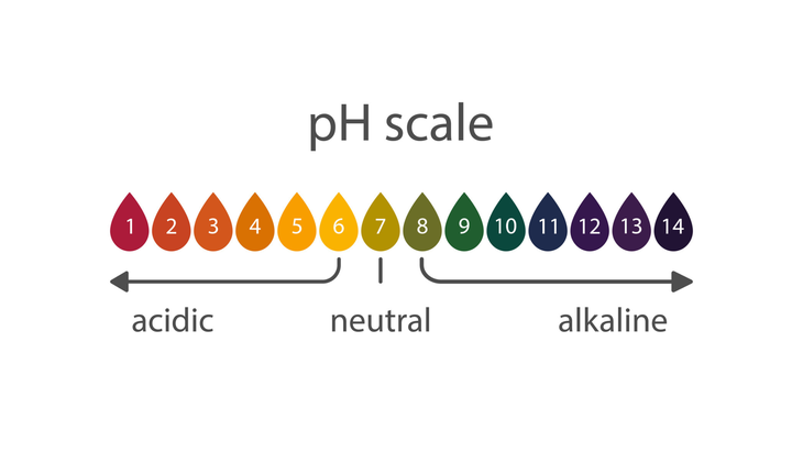 PH test scale