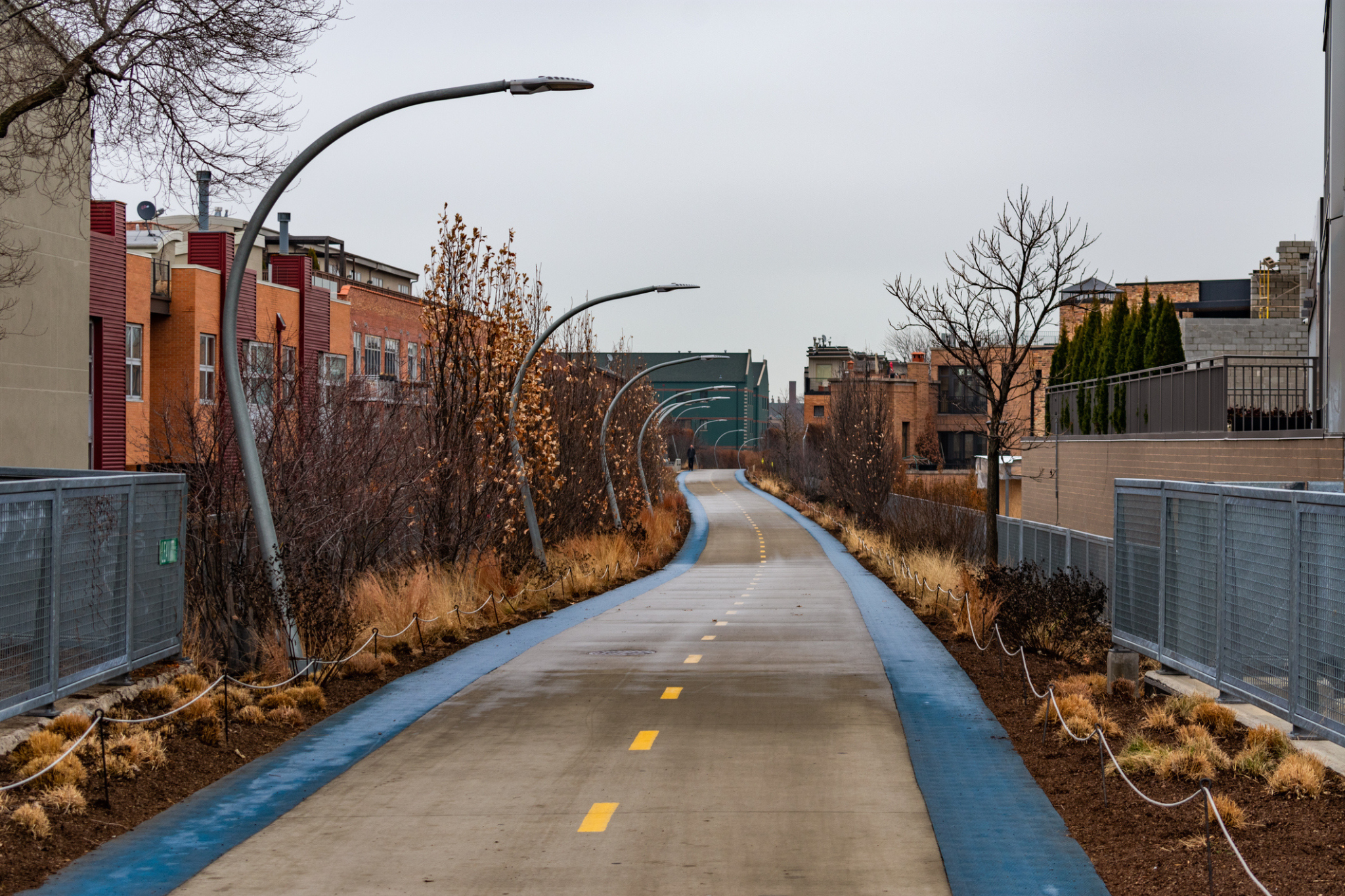 Your Guide to Running in Chicago