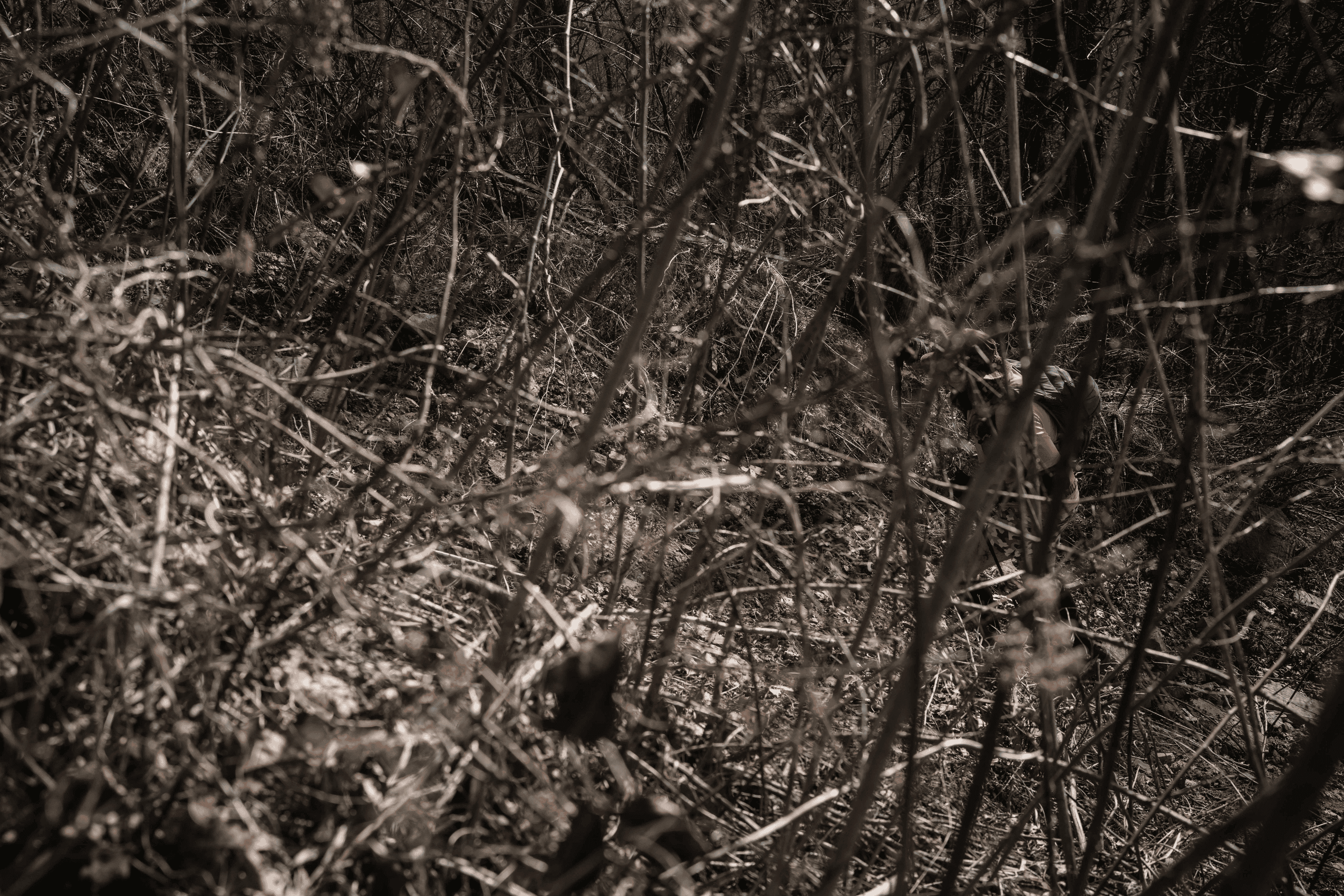The first runners reach the infamous Rat Jaw climb in under three hours. The sun is high, the anticipation as well. The mood is jovial among runners and crews.