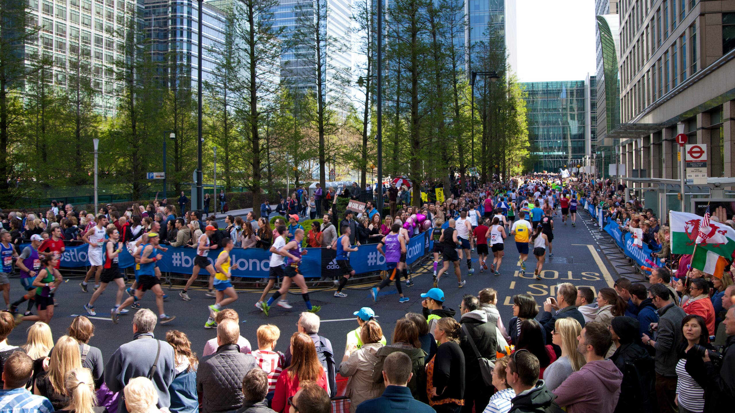 Researchers found that the way in which someone cheers for a runner varies based on gender and who they are cheering for.