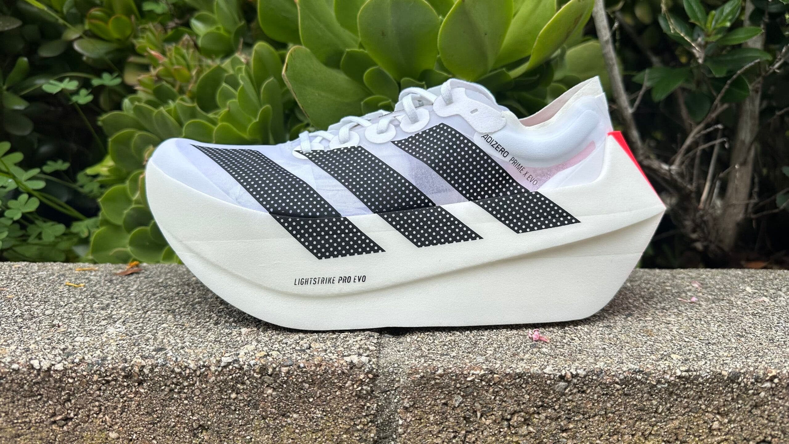 Adidas Adizero Prime X Evo