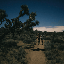 Dark sky running in Joshua Tree National Park