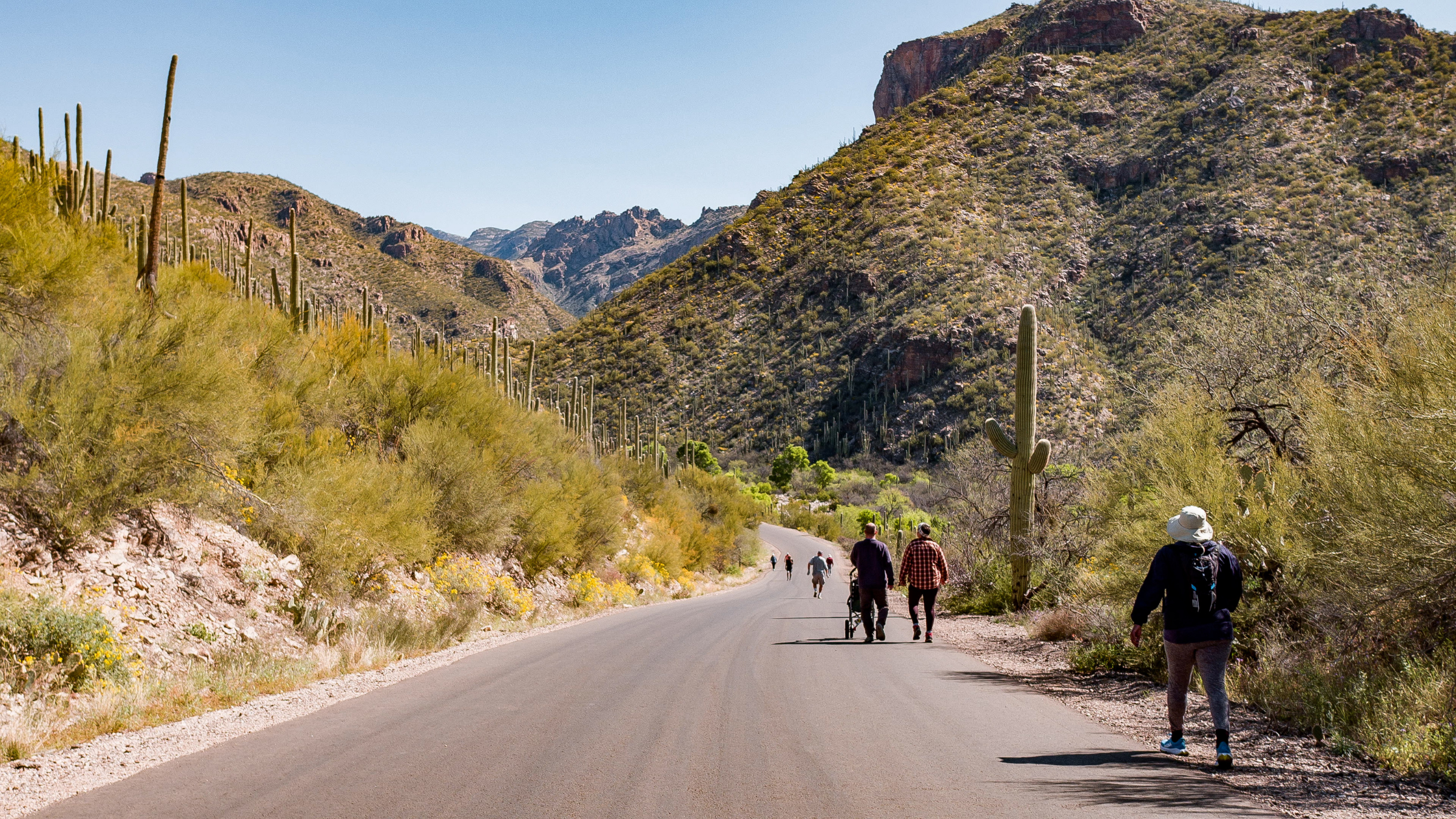 a bike path in Arizona