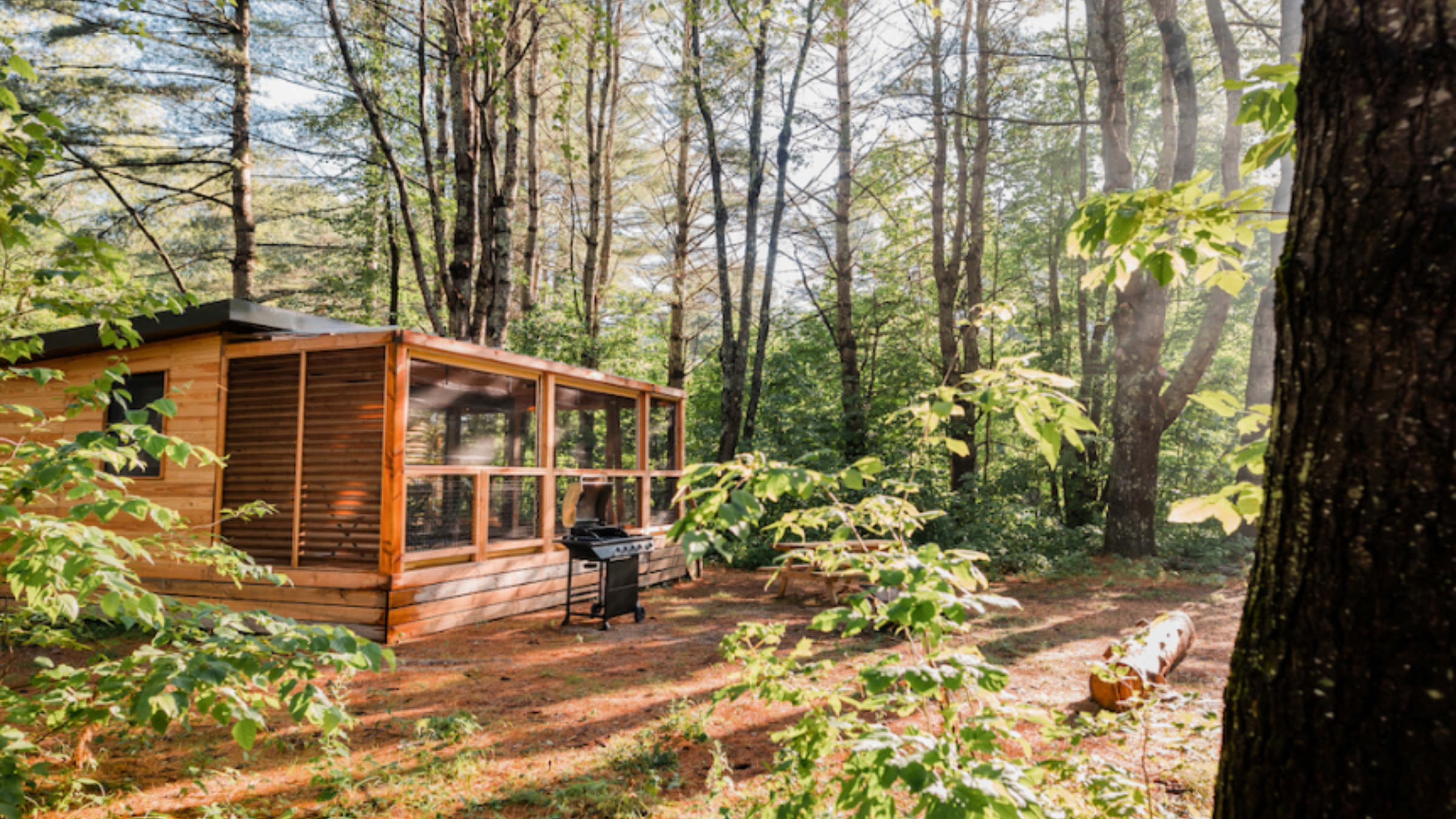 a red wood cabin in very green woods