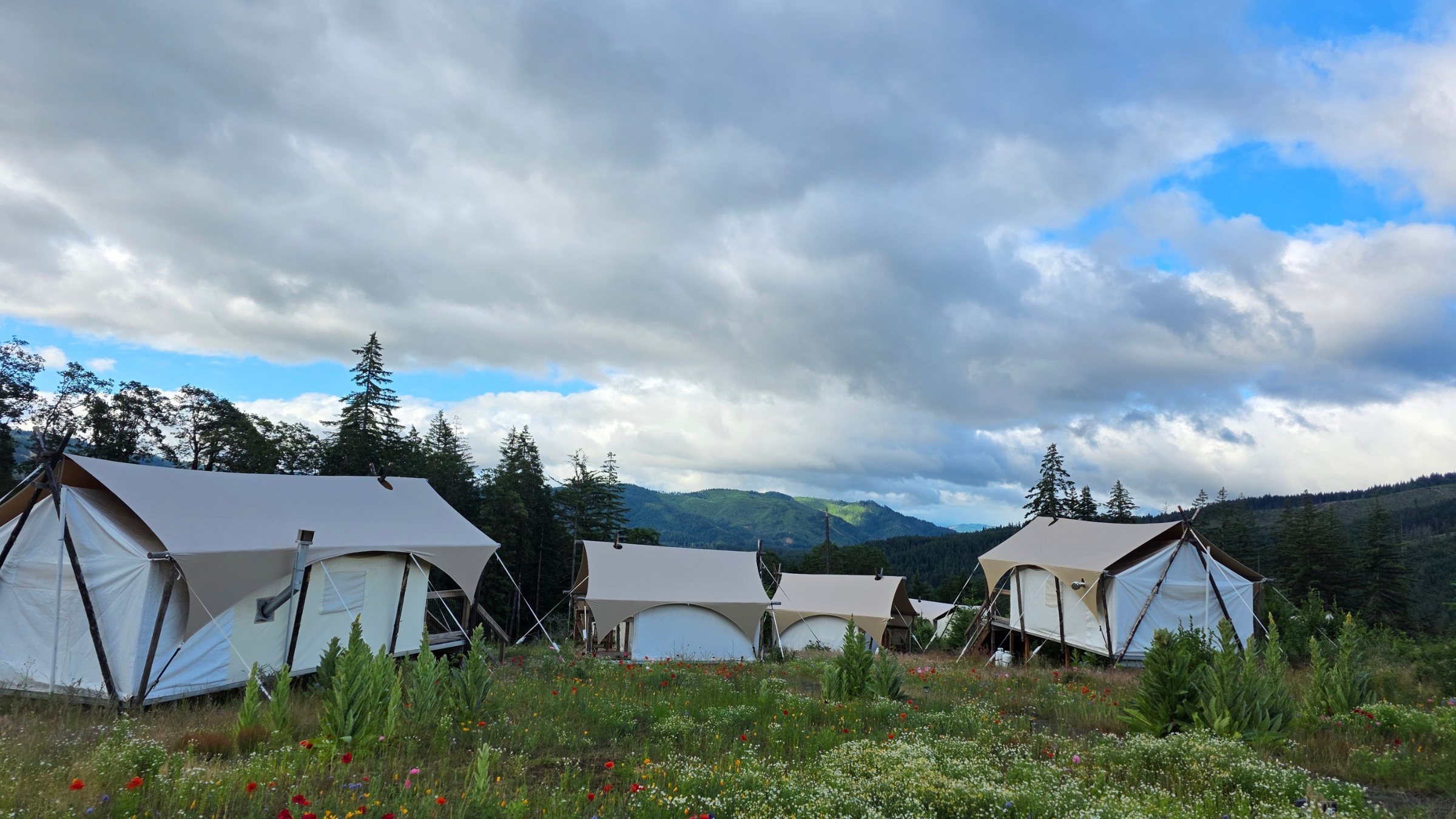 Under Canvas Columbia River Gorge